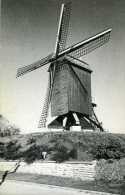 HERZELE (O.Vl.) - Molen/moulin - Standaardmolen Te Rullegem In 1973 (Uitgave: Provinciebestuur) - Herzele