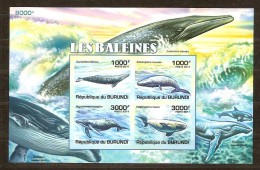 Burundi 2011 OCBn° Bloc 163 ND Ongetand *** MNH Cote 37 Euro Faune Baleines Walvissen - Unused Stamps