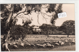 CPA - Australie - Canberra  - Pime Minister 's Lodge - Canberra (ACT)