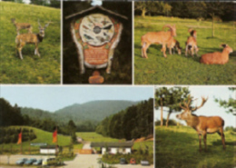 Bad Bergzabern - Wild Und Wanderpark - Bad Bergzabern