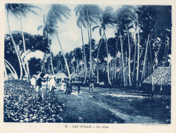 Format 24x18 ; Iles Wallis , Un Village - Wallis Und Futuna