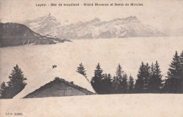 LEYSIN / MER DE BROUILLARD - GRAND MUVERAN ET DENTS DE MORCLES - Morcles