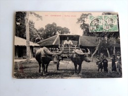 Carte Postale Ancienne : CAMBODGE : Buffles Attelés, Timbres, En 1913 - Cambodge