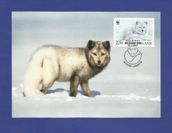 Finnland / Suomi 1993  Mi.Nr. 1202 ,  Maximum Card , The Arctic Fox - Issue Date 19.3.1993 - Cartoline Maximum