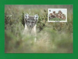 Finnland / Suomi 1993  Mi.Nr. 1204 ,  Maximum Card , The Arctic Fox - Issue Date 19.3.1993 - Cartes-maximum (CM)