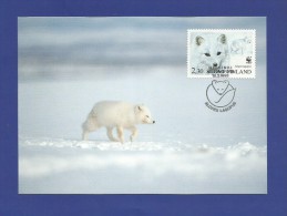 Finnland / Suomi 1993  Mi.Nr. 1203 ,  Maximum Card , The Arctic Fox - Issue Date 19.3.1993 - Cartoline Maximum