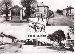 POURU-SAINT-REMY (Ardennes) Vues Diverses  Avec SANGLIER - ANIMAUX- VOIR 2 SCANS - Andere & Zonder Classificatie