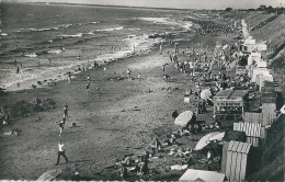 44  THARON PLAGE  -  Vue Générale  De   La Plage  , ( La Buvette , Vin - Biere ) - Tharon-Plage