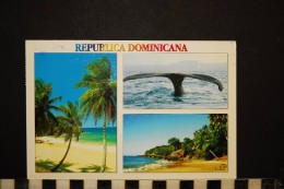 Cp, République Dominicaine, Costa Norde, Diverses Vues, Baleine, Voyagée - Dominicaanse Republiek