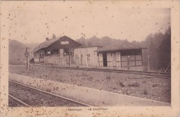 LA GARE HET STATION  1929 - Bassenge