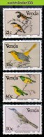 Ncf012 FAUNA VOGELS BIRDS VÖGEL AVES OISEAUX VENDA 1991 PF/MNH - Collections, Lots & Séries