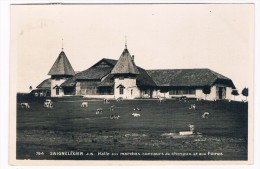 CH3084    SAIGNELEGIER : Halle Aux Marches Concours De Cheveux Et Aux Foires - Saignelégier