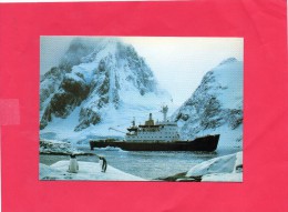 Bateau Dans Les Glaces En Island . - Rimorchiatori