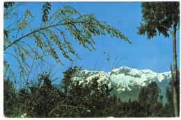 ECUADOR-MT.CARIHUAIRAZO / THEMATIC STAMPS-BUTTERFLY - Ecuador