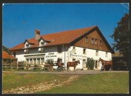 SAIGNELEGIER JU Franches Montagnes Auberge DE LA COURONNE La Theurre - Saignelégier