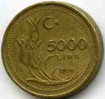 Turquie Turkey 5000 Lira 1996 KM 1029.1 - Turkey