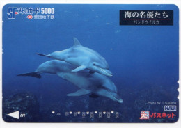 CARTE JAPON ANIMAUX DAUPHIN - Dauphins