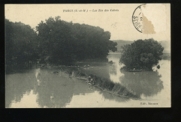 77 Seine Et Marne Torcy Les îles Et Les Gobets Masson 1912 Timbre Arraché - Torcy