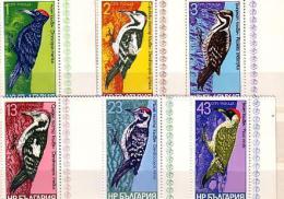 BULGARIA / Bulgarie 1978  BIRDS - Woodpecker  6 V.-MNH - Piciformes (pájaros Carpinteros)