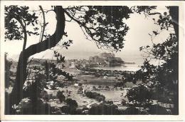 Delcampe - 36. CALVI. VUE PRISE ENTRE LES OLIVIERS. - Calvi