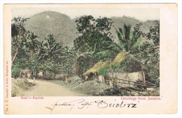 RB 1023 -  1903 A. Duperly Postcard - Road To Bogwalk  Jamaica - West Indies Caribbean - Jamaica