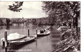 SCHAFFHAUSEN: Partie Am Rhein - Sonstige & Ohne Zuordnung