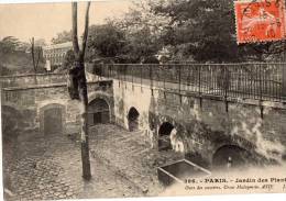 75 - PARIS - 396 - Jardin Des Plantes  - Ours Des Cocotiers- - Arrondissement: 05