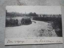 UK England   - Ascot  - View  From Foot Of  Bog Hill  PU 1904  D128003 - Other & Unclassified