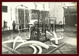 ANGOLA - LUNDA - MUSEU DO DUNDO - DIAMANG - PORTUGALIA - 1960 PC - Angola