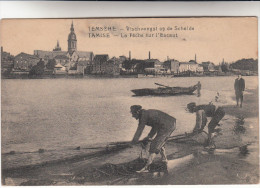 Temse, Temsche, Tamise, Vischvangst Op De Schelde, La Pêche Sur L'escaut (pk16286) - Temse