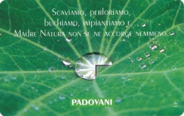 PRIVATA PUBBLICA C&C 3441 - Golden 347 NUOVA (mint) Padovani - Scaviamo… - Private TK - Reprints