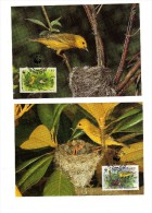 FAUVETTE JAUNE  4 CARTES MAXIMUMS W.W.F. DES BARBADES  1991 - Sparrows