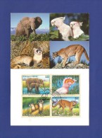 Vereinigte Nationen 1997 ,  Endangered Species - Maximum Card - March 13. 1997 - - Maximumkaarten