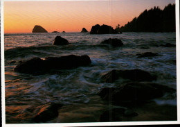 Coast Redwoods, National And State Parks, Ocean Shoreline - USA National Parks