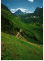 Glacier National Park, Logan Pass - USA National Parks