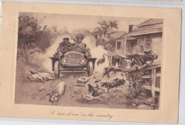 A Run Down In The Country - The Sepia Motoring Series 128 - N°902 - Vache - Poule - Canard - Cochon - Automobile - Pig - Unclassified