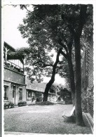 PARIS - Hôpital Sainte Marie - Le Jardin - Santé, Hôpitaux