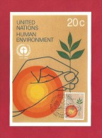 Vereinigte Nationen 1982 , Human Environment  - Maximum Card - Mar.19.1982 - - Maximum Cards