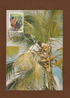 Vereinigte Nationen 1988 , Journee International Des Volontaires - Maximum Card - 6.5.1988 - - Maximumkaarten