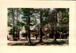 CPSM VIBRAYE  , Forêt , La Bouverie - Vibraye