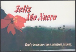 1998-EP-18 CUBA 1998. Ed.22b. ENTERO POSTAL. POSTAL STATIONERY. ENTREGA ESPECIAL  AÑO NUEVO. HAPPY NEW YEAR. ANTONIO MAC - Storia Postale