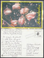 1999-EP-4 CUBA 1999. Ed.29a. MOTHER DAY SPECIAL DELIVERY. ENTERO POSTAL. POSTAL STATIONERY. FLOWERS. FLORES. USED. - Briefe U. Dokumente