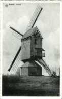 BOUWEL - Grobbendonk (Prov. Antwerpen) - Molen/moulin - De Standaardmolen Van Bouwel Omstreeks 1950 Met Geknakte Wieken - Grobbendonk