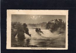 52355     Svizzera,   Rheinfall Mit  Schloss Laufen,  VGSB - Laufen-Uhwiesen 