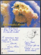 1999-EP-25 CUBA 1999. Ed.29v. MOTHER DAY SPECIAL DELIVERY. ENTERO POSTAL. POSTAL STATIONERY. FLOWERS. FLORES. USED. - Lettres & Documents