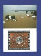 Vereinigte Nationen 1994 , International Decade For Natural Disaster -  Maximum Card - May 24.1994 -4 Scan - - Cartes-maximum