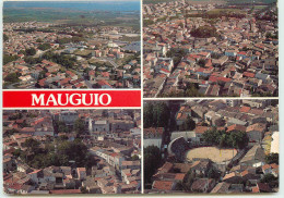 DEP 34 MAUGIO VUE DU CIEL 4 VUES - Mauguio