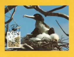 Ascension Island  1990 , Maximum Card , Frigatebird - WWF - First Day - 5 March 1990 - - Ascensión