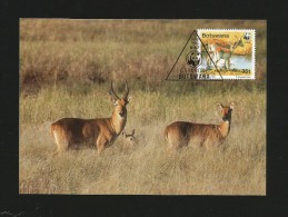 Botswana 1988 , Maximum Card - Red Lechwe - WWF - First Day 6 June 1988 - Botswana (1966-...)