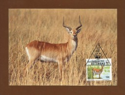 Botswana 1988 , Maximum Card - Red Lechwe - WWF - First Day 6 June 1988 - Botswana (1966-...)